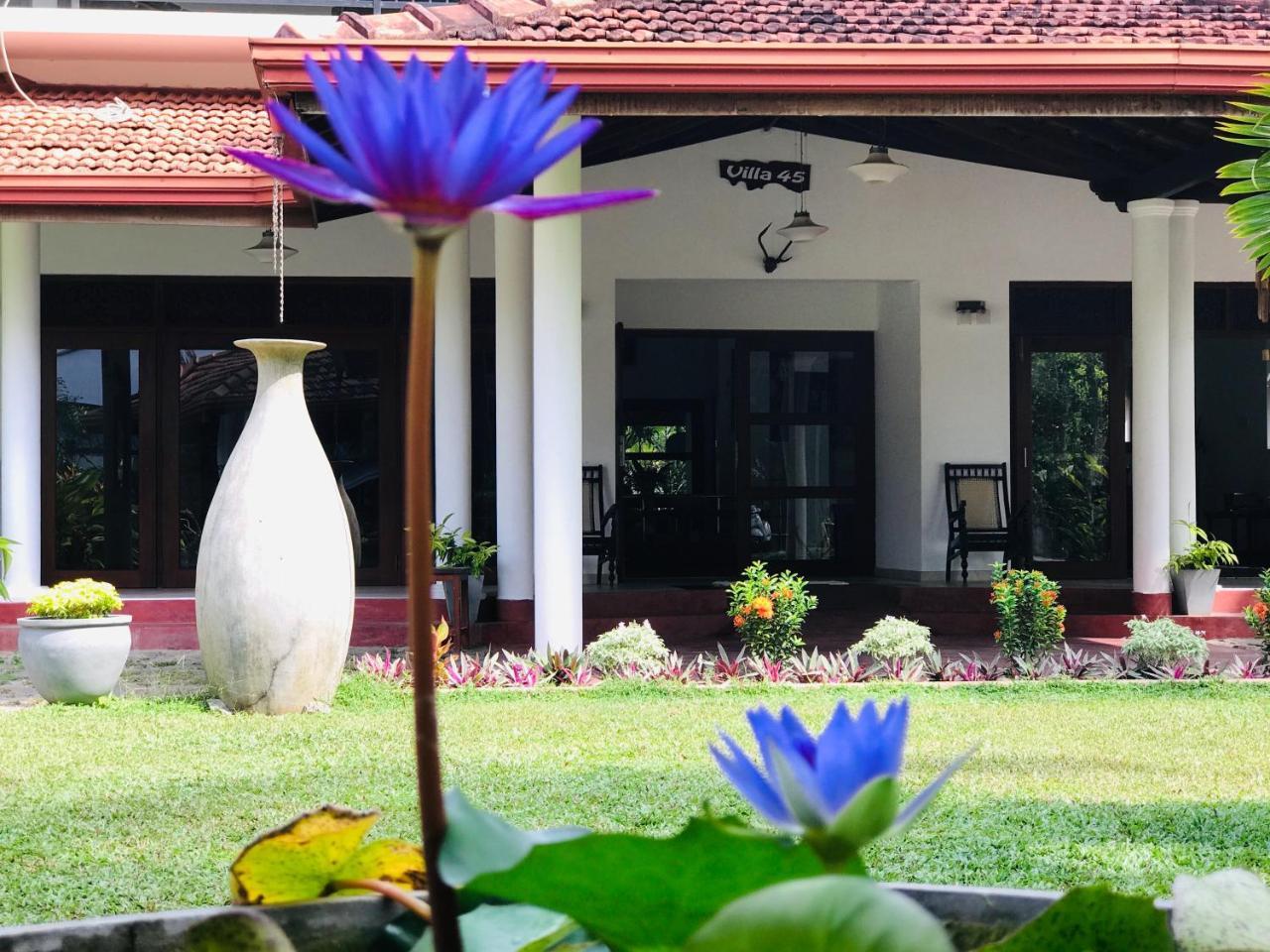 Villa 45 - Balapitiya Bagian luar foto